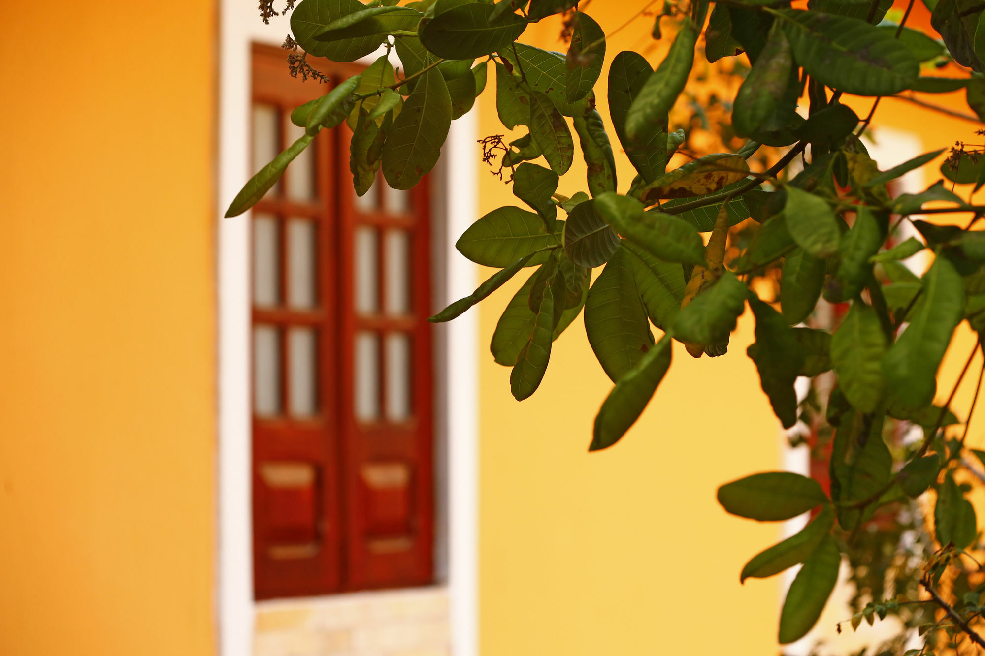 Pousada Casamar Porto de Galinhas Ngoại thất bức ảnh